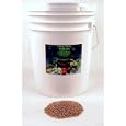 35 Lbs -Certified Organic Hard Red Wheat Seed - 35 resealable bucket - Plant & Grow Wheatgrass, Grind to Make Flour & Bread, Store for Emergency Food Storage - Excellent Germination Rate