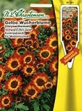 Eigenschaften Chrestensen  / Gelbe Wucherblume Schwarz-Rot-Gold (Port. inkl. Stecketikett)