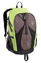 Coleman Exponent Runamuck X35 Panel-Load Daypack, Green