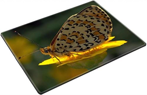JB Wave Stunning Butterfly on Flower Placemat Pads Customized Made To Order Support Ready High Quality Eco Friendly Cloth With Neoprene Rubber 15 6/8 Inch (400mm) X 11 13/16 Inch (300mm) X 1/8 Inch (3mm)