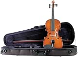 Palatino VN-450 Full Size Allegro Violin Outfit