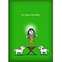 "It's Jesus' Birthday" by Bald Guy Greetings, 8 cards per box (Pack of 2)
