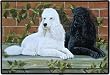 Poodles Poodle Dog Designer Indoor Outdoor Doormat Rug Mat