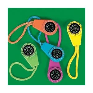 neon compass