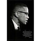(24x36) Malcolm X (Brotherhood) Art Poster Print