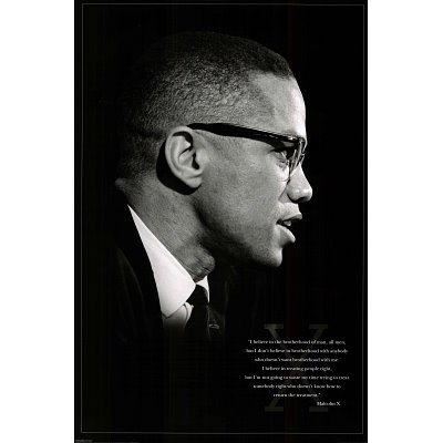 (24x36) Malcolm X (Brotherhood) Art Poster Print