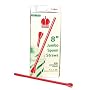 Snow Cone Spoon Straws - 8 inch Jumbo Spoon Straws 200/box