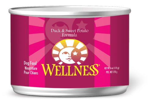 Wellness Complete Health Natural Wet Canned Dog Food, Duck and Sweet Potato Recipe, 6-Ounce Can (Pack of 24)