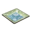 Pfaltzgraff Patio Garden Buffet Plate, Set of 6