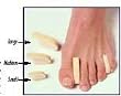 `Toe Separator Small Bx/12