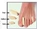 `Toe Separator Small Bx/12