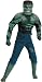 Search : Incredible Hulk Costume