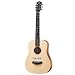 Baby Taylor Guitar