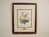 輸入雑貨：バラ図譜（Les Rose）　ローズ・ブーケ：薔薇