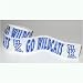 University of Kentucky Paper Streamer (42 ft.)