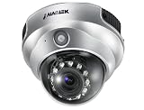 Vivotek FD7132 3-axis Day & Night Fixed Dome Network Camera