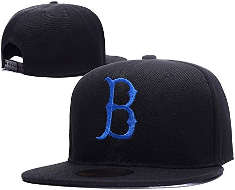 HAISHEN NCAA UCLA Bruins Logo Adjustable Snapback Embroidery Hats Caps