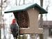 Outdoor Living : Recycled 1-1/2 Quart 2-Sided Hopper w/Hanging Cable