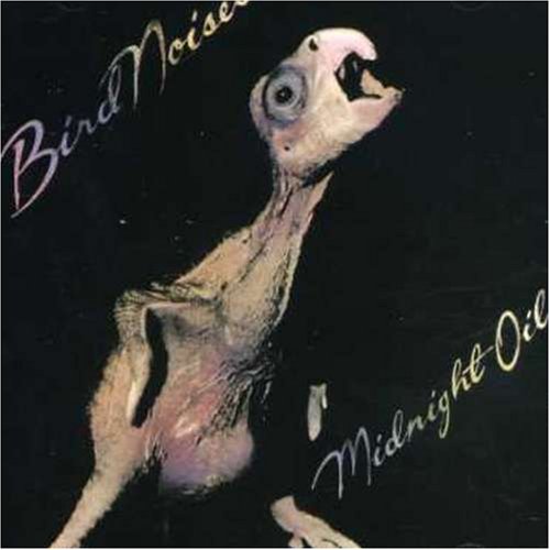 Midnight Oil - Bird Noises [Aust Excl CD/Ep] - Zortam Music