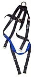 Safety Harness 1 D-Ring M - B Legs by Rugged Blue -XL