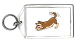 Keychain with animals, animal, dog