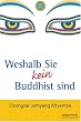 Weshalb Sie kein Buddhist sind