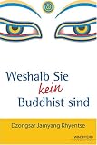 Weshalb Sie kein Buddhist sind - Dzongsar Jamyang Khyentse