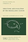 Structure and evolution of the Magellanic clouds