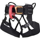 Sporting Goods : Alpine Bod Harness - Youth by Black Diamond