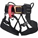Sporting Goods : Alpine Bod Harness - Youth by Black Diamond