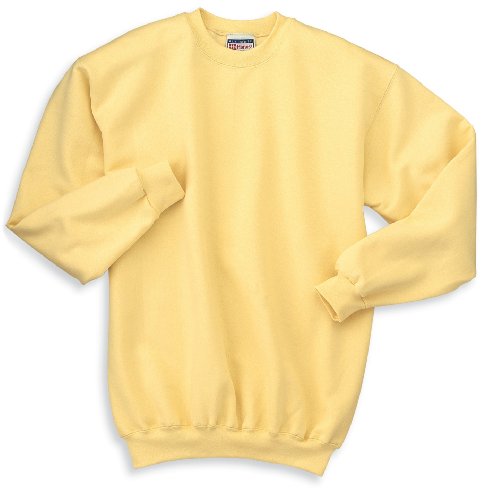 Hanes Ultimate Cotton - Unisex Crewneck Sweatshirt. F260