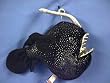 Plush Scrooge Devil Fish Stuffed Toy