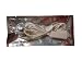  : Lanyard Headphones Earphones for iPod