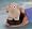 The Pet Head Stress Reliever - Office Desktop Toy - Squishy Novelty Friend!