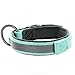 Pawtitas Lumberjack Padded Martingale Collar for Dogs | Soft Neoprene Dog Collar for Your pet's Comfort Made with Reflective Band for Maximum Visibility | Fits Small and Large Pets - Small Teal