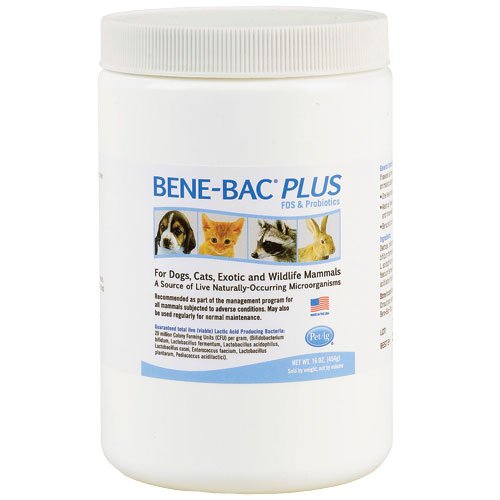 PetAg Bene-Bac Plus Pet Gel & Powder, Powder, 1lb