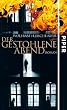 Der gestohlene Abend: Roman