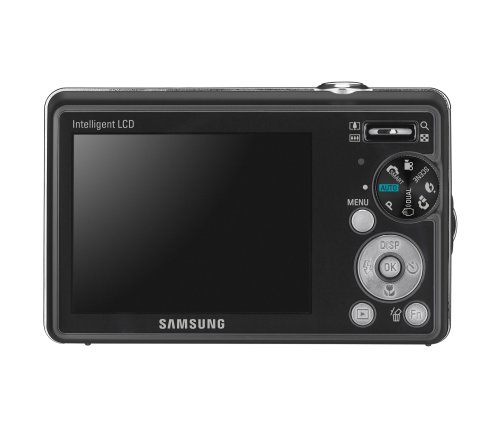 Samsung SL 420 10MP Digital Camera with 5x Dual Image Stabilized Zoom and 2.7 inch LCD