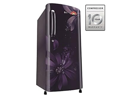 LG GL-B221APAN.DPAZEBN Direct-cool Single-door Refrigerator (215 Ltrs, 5 Star Rating, Purple Aster)