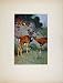ANTIQUE PORTRAITURE COLORED PRINT MOUFLON ANIMAL ART