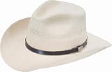 Bailey Western Men's Poplar River Hat
