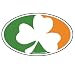 Oval Sully's Irish Flag Sticker