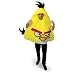 Adult Yellow Angry Birds Costume