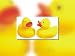 Fuchs 9805 kleine Schwimm-Ente weich