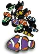 Crocs Shoe Charms Clown Fish, Set of 7 Charms