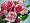 Artificial Silk Flower Rose w/ Buds Freesia Diamante Posy/Bouquet from GT Decorations