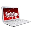 MSI Wind U100-451US 10-Inch White Netbook - 3 Cell Battery