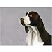 25 Pack English Springer Spaniel Note Cards by Dick Larsen