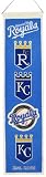 MLB Heritage Banner