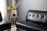 Heaven Fresh HF 707 Digital Ultrasonica Cool and Warm Mist Humidifier and Ionizer - Color Silver